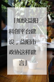加快益阳科创平台建设，益阳市政协这样建言